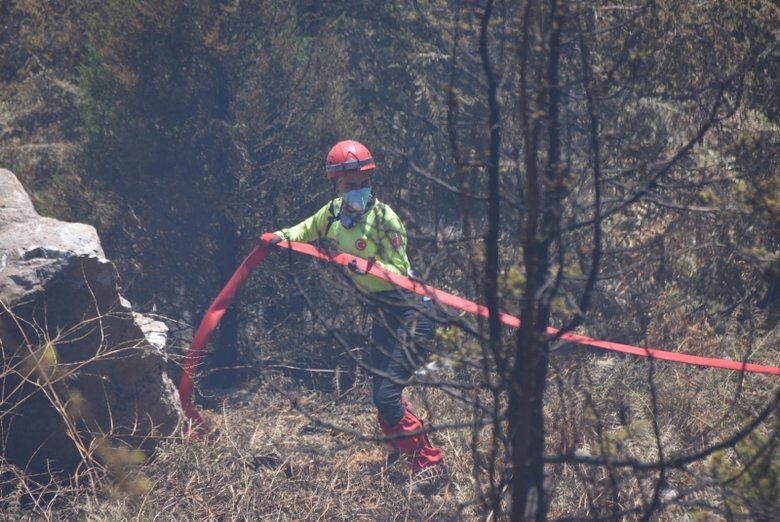 ’Yeşil Vatan’ için canla başla mücadele ediyorlar: Alevlerle savaşan kadınlar