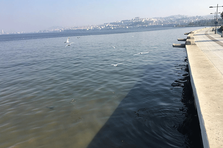 Başkan Hani Yüzecektik!