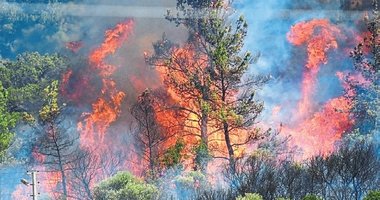 2025’te en çok İzmir’in ormanları yandı