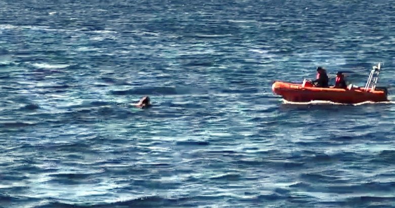 Yunanistan’a yüzerek kaçmaya çalışırken yakalandı