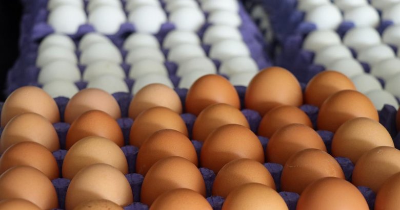 Yumurtada israfın önüne geçecek düzenleme