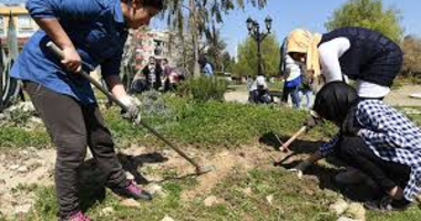 ÇALI TIRPANI SATIN ALINACAKTIR