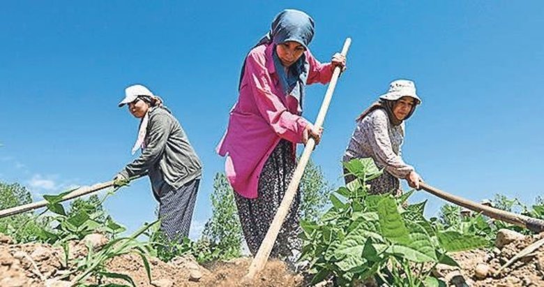 Van’dan İzmir’e kadınlar üretiyor