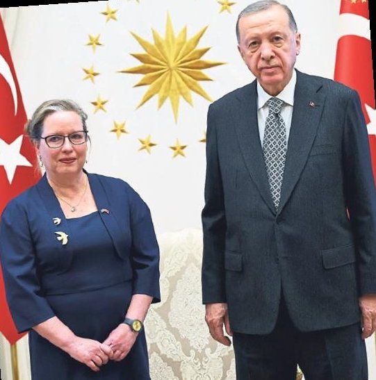 Cumhurbaşkanlığı Külliyesi’nde ‘Büyükelçiler’ günü