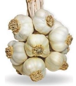 Damar açıcı beslenme