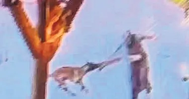 Afyon’da dinlenme tesisinde korku dolu anlar