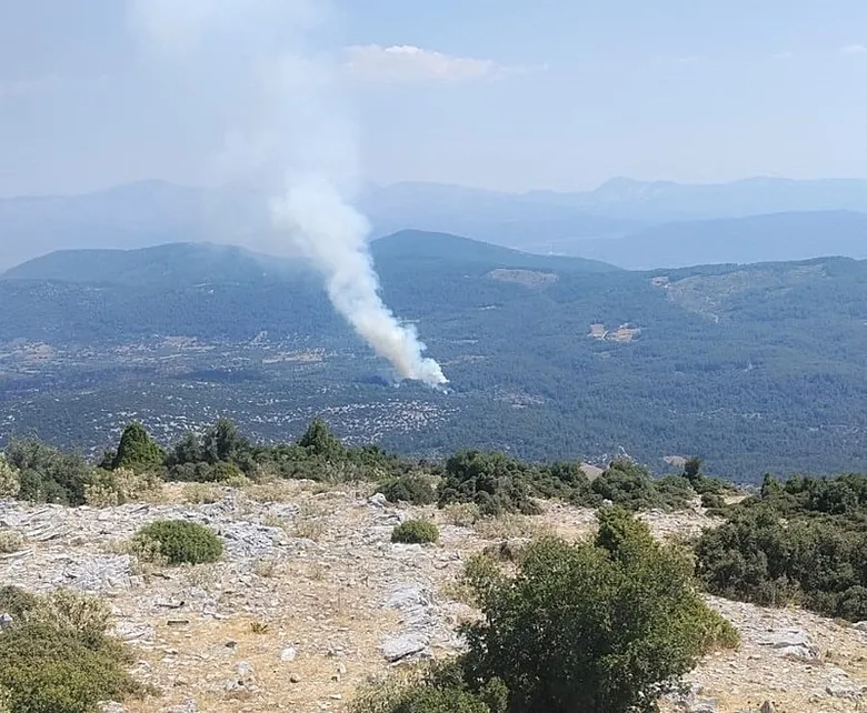 SON DAKİKA: Muğla’da orman yangını! Ekipler müdahale ediyor