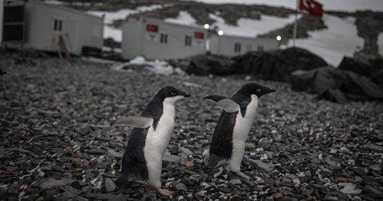 Antarktika Türk Bilimsel Araştırma Kampı’nda çalışmalar başladı