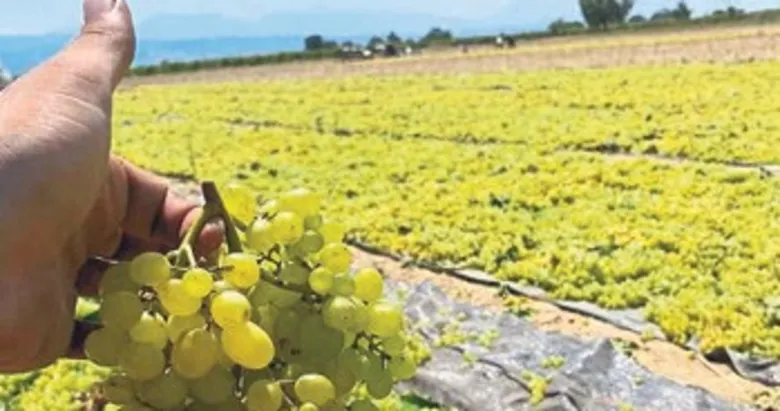 Manisa’nın haziran ayı dış satımı yeniden artışa geçti