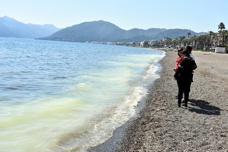 Marmaris’te denizin kıyısı sarıya boyadı