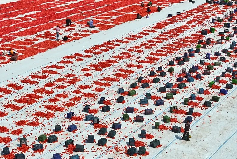 izmirden-91-ulkeye-uzanan-lezzet-yolculugu-100-milyon-dolarlik-ihracat-hedefi-1785053594237.jpeg