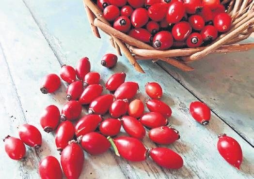 Kasım ayının süper besini balkabağı