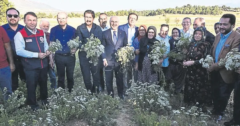 Anadolu’nun kekiği Denizli’den yükseliyor