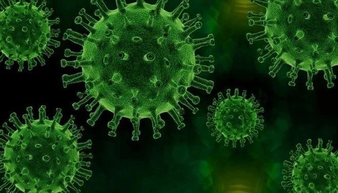 Nipah virüsü nedir, belirtileri nelerdir? Türkiye’de var mı?