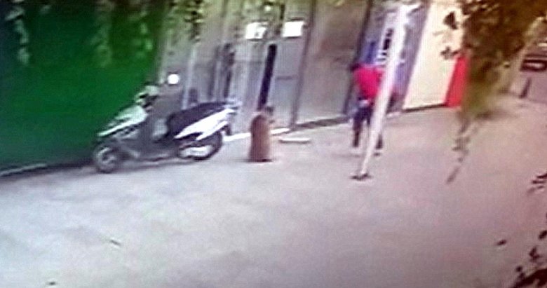 Muğla’da vahşet! Sokak köpeği Boris’i bıçaklayarak öldürdü