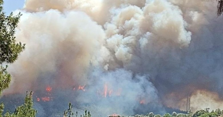 İzmir’de orman yangını: Uçaklar ve helikopterler müdahale ediyor
