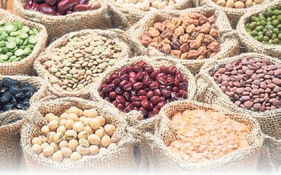 Diyabetin düşmanı beslenme ve egzersiz