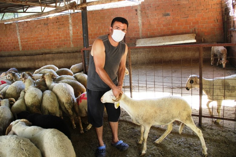 Kurban pazarlığında tokalaşma devri bitti, iple pazarlık başladı
