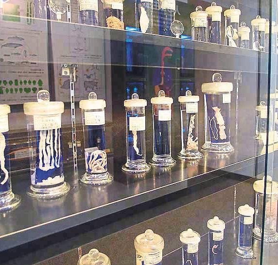 Bu müzeleri gezmek yürek ister