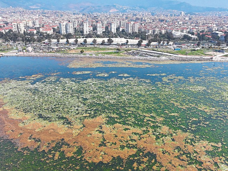 Tugay: Körfez bu yaz daha az kokacak
