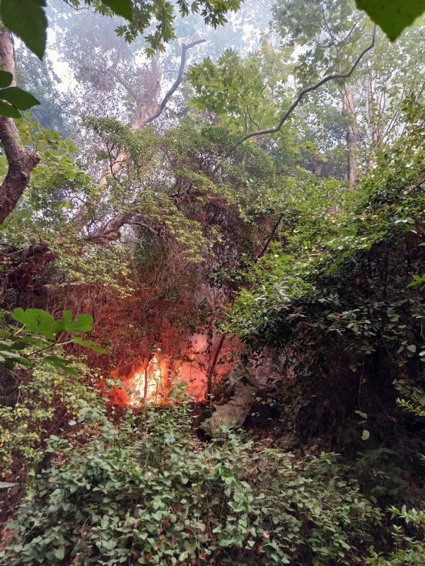 Tabiatın gizli hazinesi ‘Turgut Şelalesi’ de alevlere teslim oldu