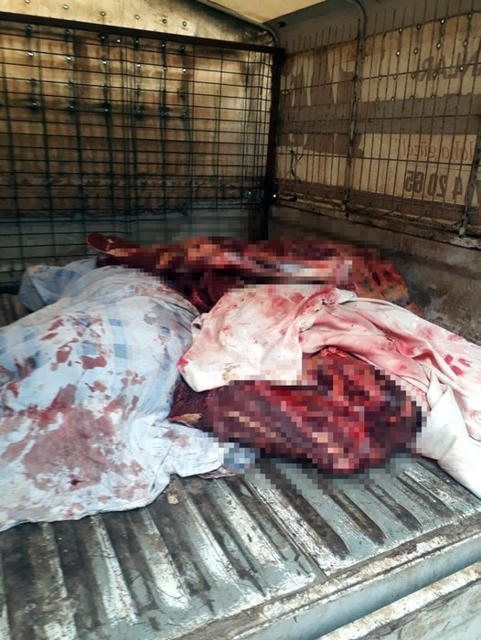 Manisa’da 800 kilo at eti ile yakalandılar
