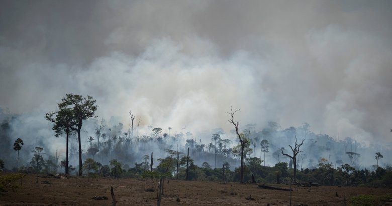 Amazonlar’dan sonra dünyanın ‘ikinci akciğerleri’ de yanıyor