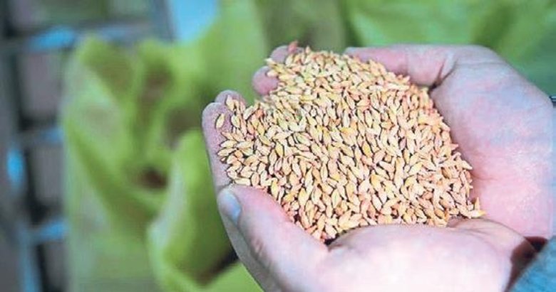 Ülkemiz tohumda küresel bir oyuncu haline geldi