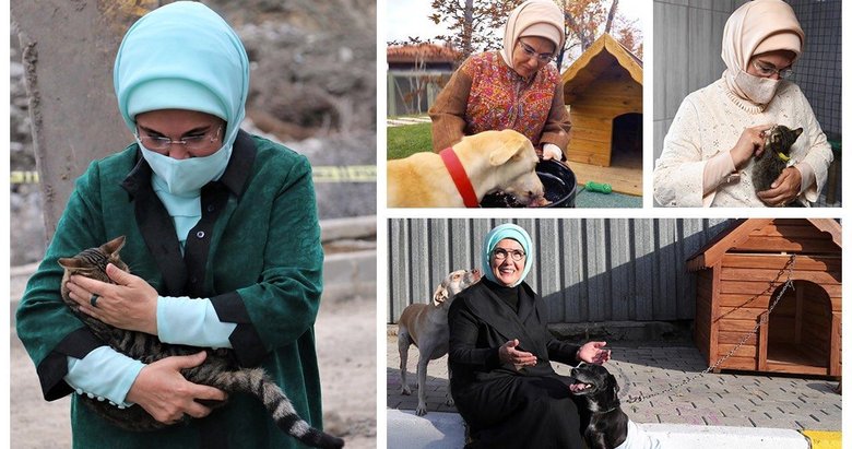 Emine Erdoğan’dan ’Hayvanları Koruma Günü’ paylaşımı: Can dostlarımıza destek olmak hepimizin ortak sorumluluğu