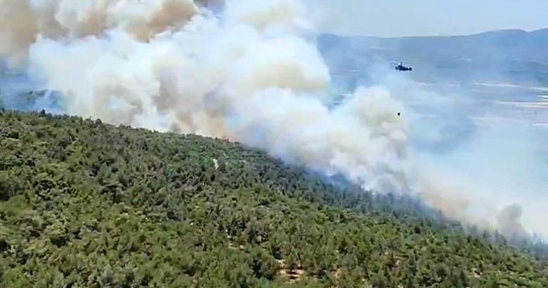Manisa’da orman yangını! Havadan ve karadan müdahale