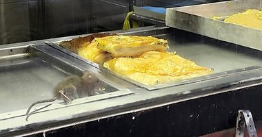 İzmir’de Buca’da fareli börek: Tüm tezgahı gezdi