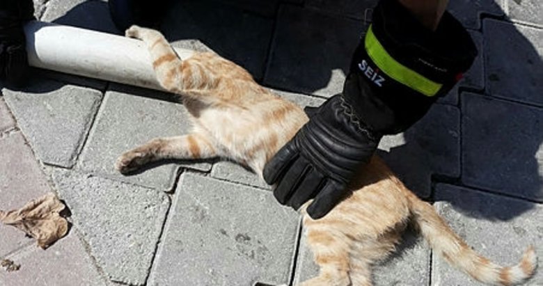 Denizli’de çatıdaki boruya sıkışan kedi kurtarıldı
