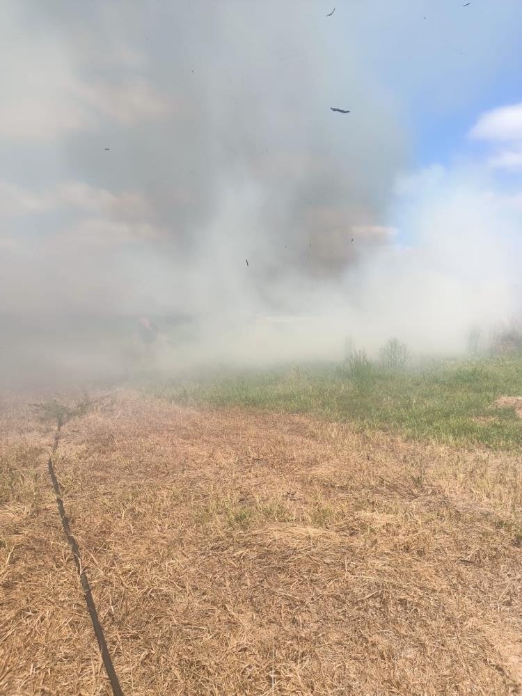 Manyas- Bandırma arasında sazlık alanda yangın çıktı