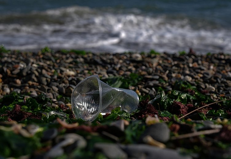 İzmir Körfezi’ndeki çalışmalar tamamlandı! Aşırı kirliliğinin 4 mevsim sürdüğü belirlendi