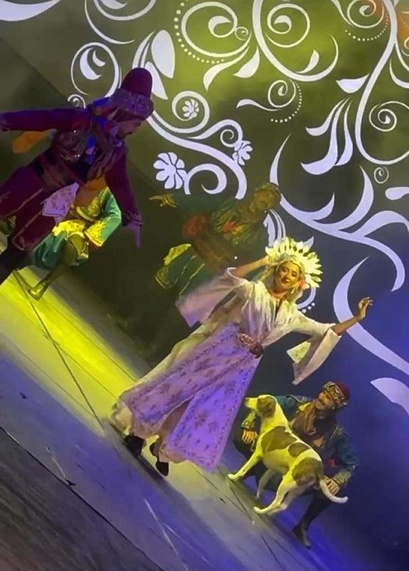 İzmir’de ilginç anlar! Gösteri sırasında köpek sahneye çıkınca...