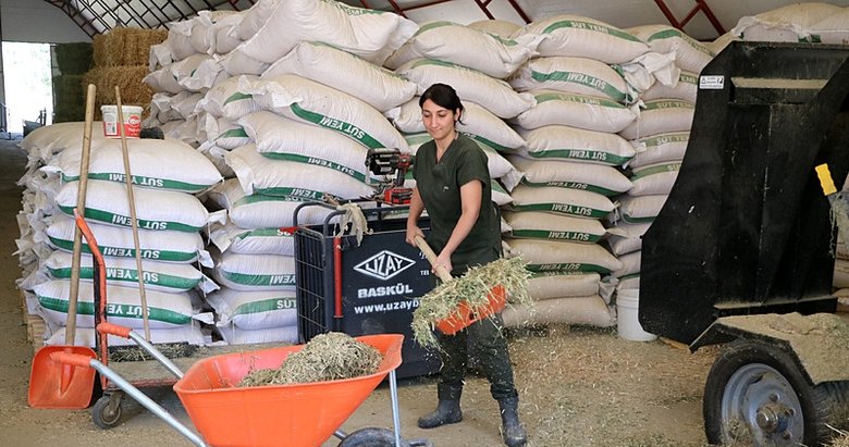 Devlet desteğiyle çiftçilere umut oldu