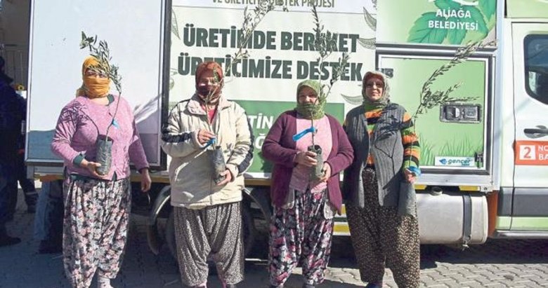 Şenlik havasında zeytin fidanı dağıtımı