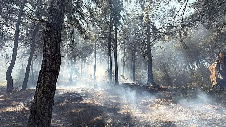 izmirde-9-donumu-kule-ceviren-yanginda-tutuklama-yanginin-sebebi-ortaya-cikti-1783508670417.jpeg