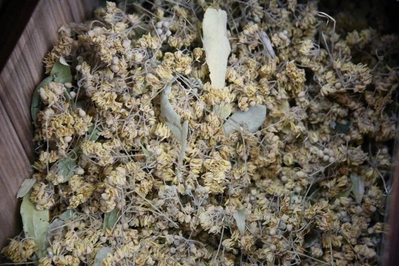 Öksürüğü geçmeyen soluğu orada alıyor: Bu bitkilere talep patladı