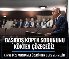 Başkan Erdoğan: Başıboş köpek sorununu kökten çözeceğiz