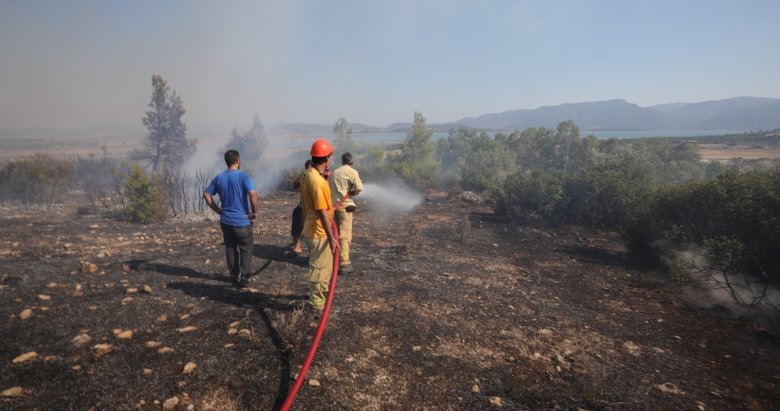 İzmir’de erken müdahale binlerce hektar ormanı kurtardı