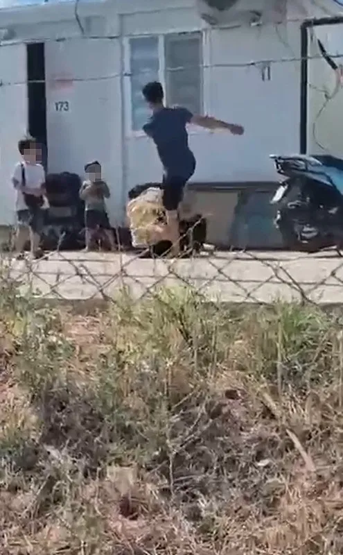 1783582620566.jpeg