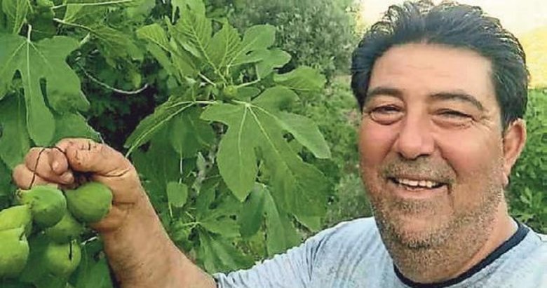 Tireli incir üreticileri ilekleme işlemine başladı