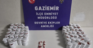Takside 3 bin adet sentetik hap bulundu