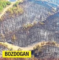 Endişeleneceğimiz bir yangın kalmadı