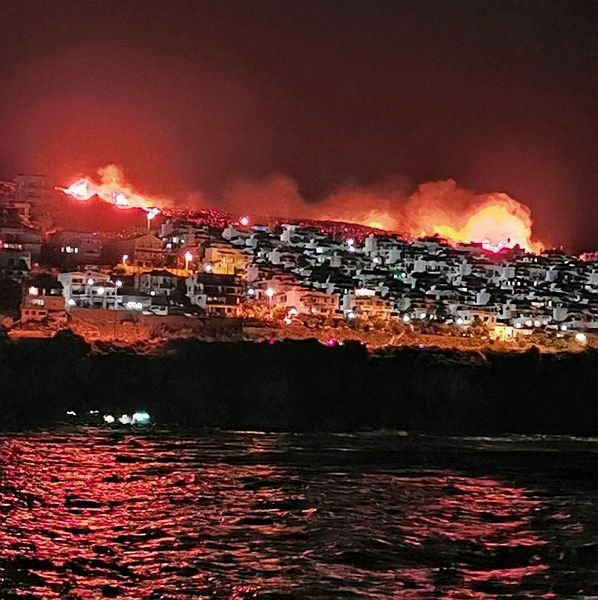 Son dakika: İzmir’de makilik alanda yangın!