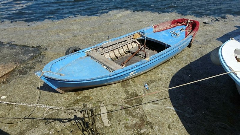Marmara Denizi’ndeki müsilaj rüzgarın etkisiyle yüzeye çıktı