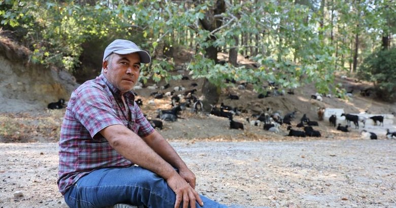 Şaşkına çeviren olay! Keçilerin hareketleri meteoroloji uzmanı yaptı