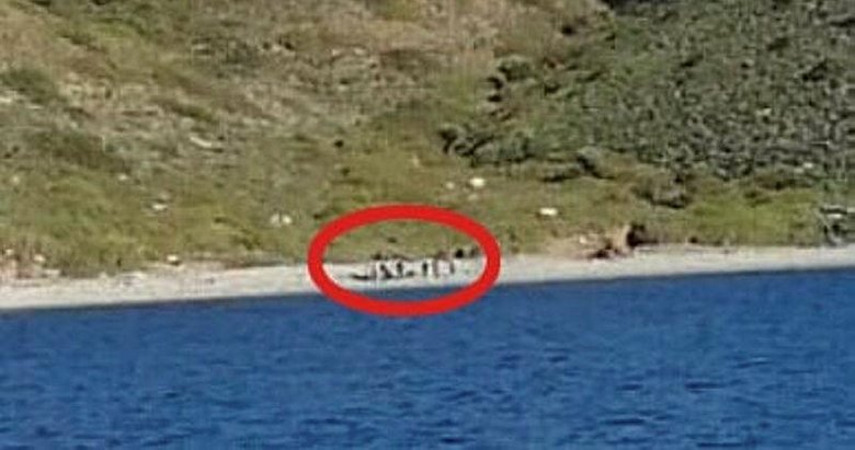 Yunanistan’ın ittiği sürüklenen bottaki 7 kaçak göçmeni Türk Sahil Güvenliği kurtardı