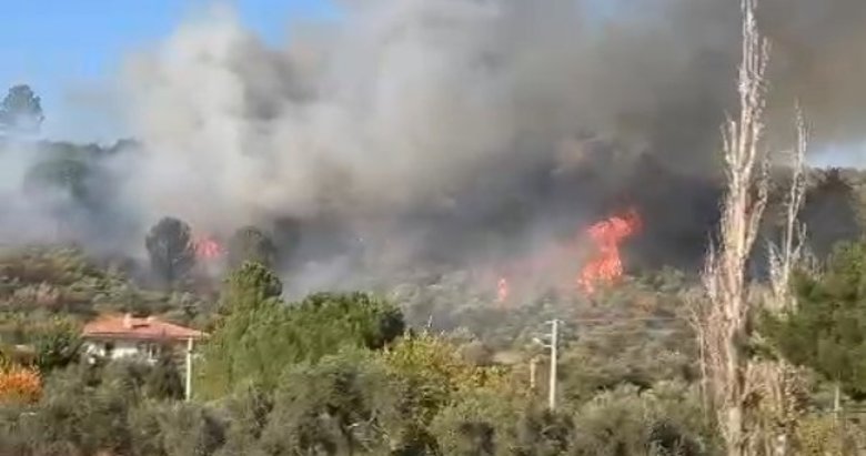 Muğla Menteşe’de orman yangını çıktı